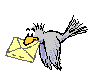 email5